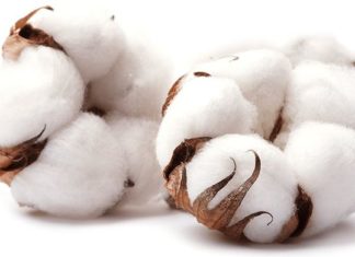 tipos de algodón