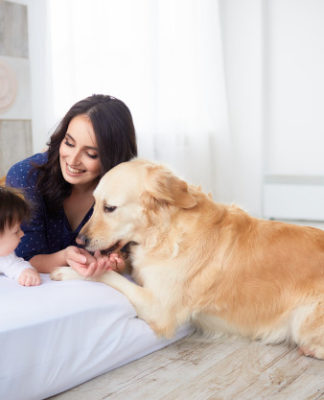 Niños y mascotas – Una gran elección Niños y Mascotas